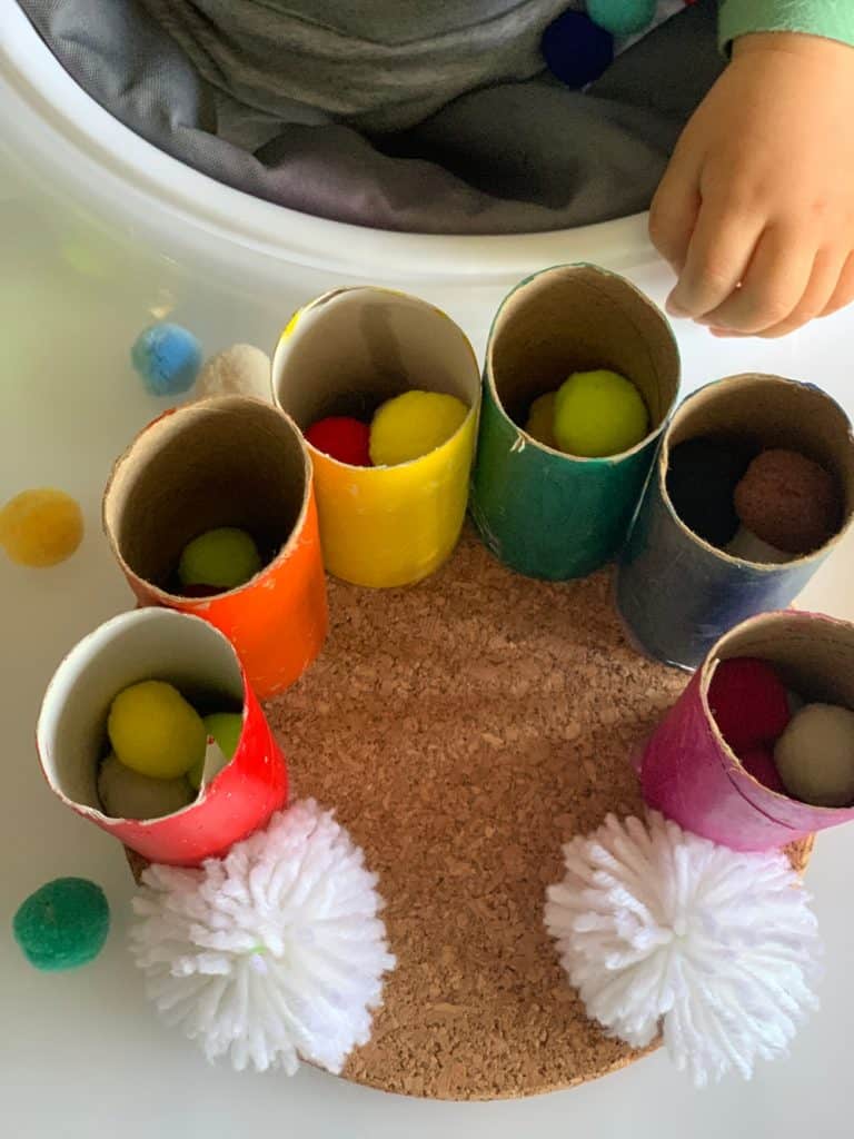 Toilet Paper Tube Rainbow Pom Pom Drop Toddler Fine Motor Skills Activity 