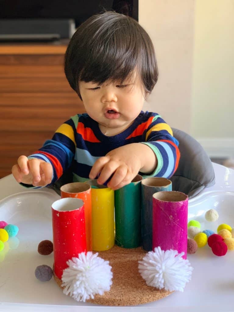 Paper Tube Rainbow Pom Pom Drop Toddler Fine Motor Skills Activity 