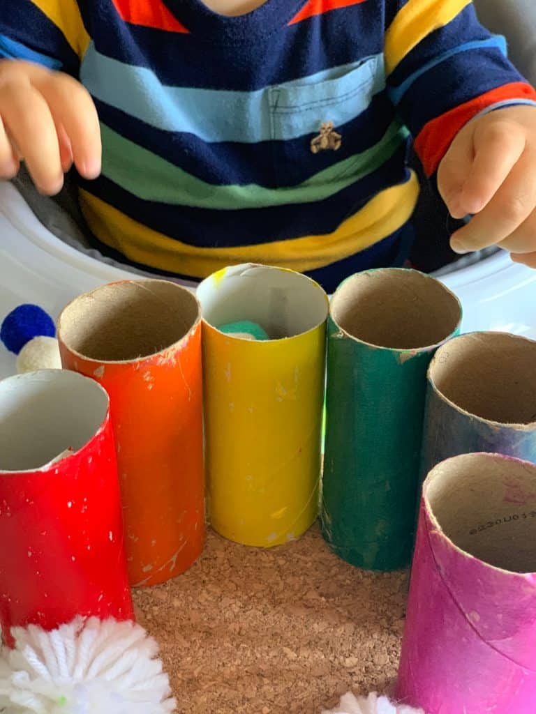 Paper Tube Rainbow Pom Pom Drop Toddler Fine Motor Skills Activity 