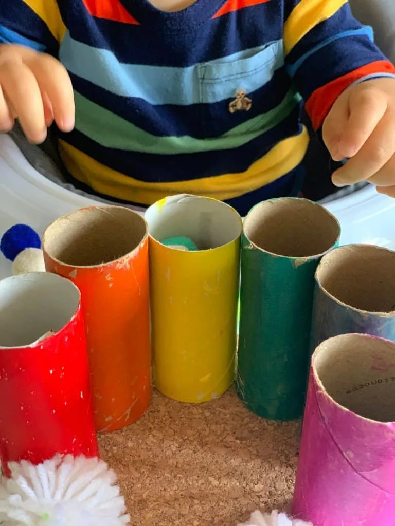 Paper Tube Rainbow Pom Pom Drop Toddler Fine Motor Skills Activity 