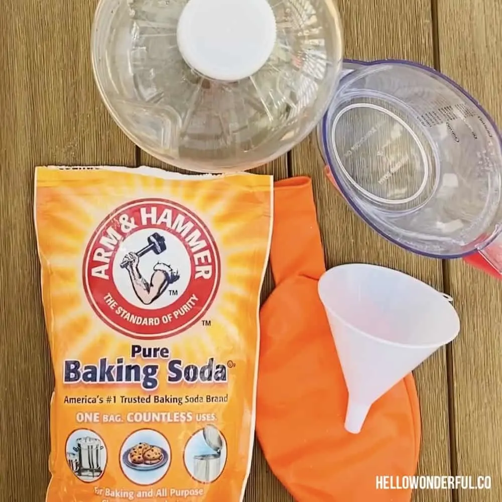 Materials for baking soda vinegar balloon experiment