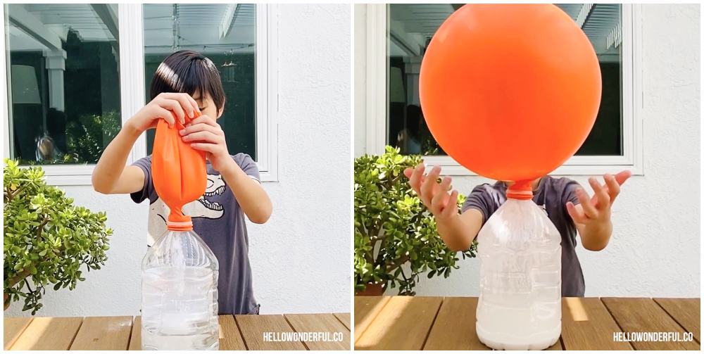 Giant Balloon with baking soda and vinegar science experiment. Ballon over a gallon size water bottle. 