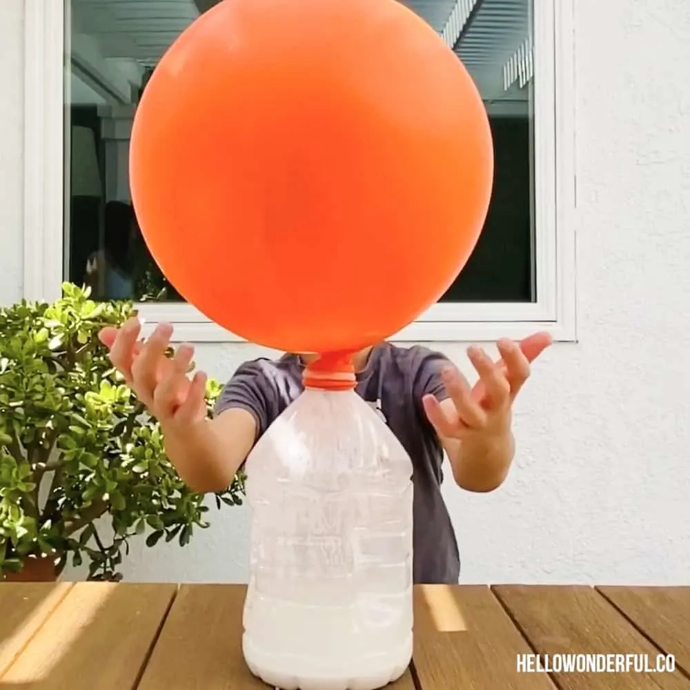 Giant Balloon with baking soda and vinegar science experiment. Ballon inflated over a gallon size water bottle. 