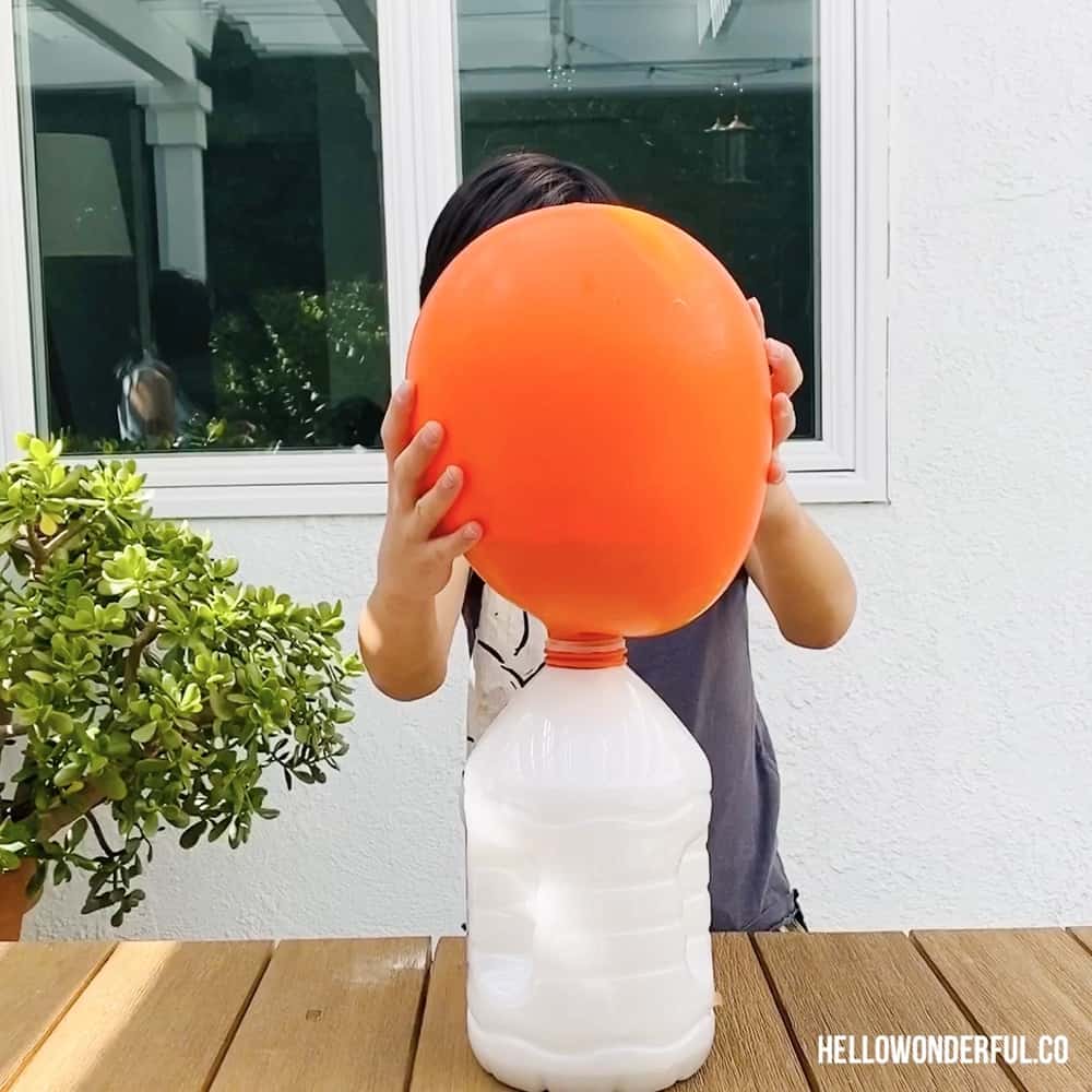 Ballon inflated over a gallon size water bottle kid science experiment