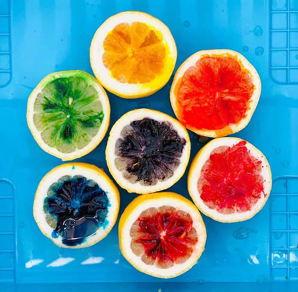 cut lemons in half with food coloring over them in rainbow colors