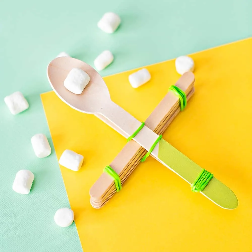 DIY Marshmallow Catapult 