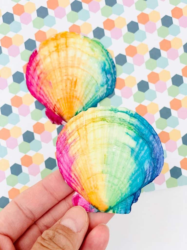 rainbow watercolor painted seashells