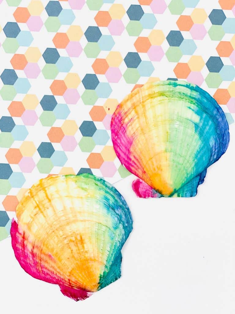 rainbow watercolor painted seashells