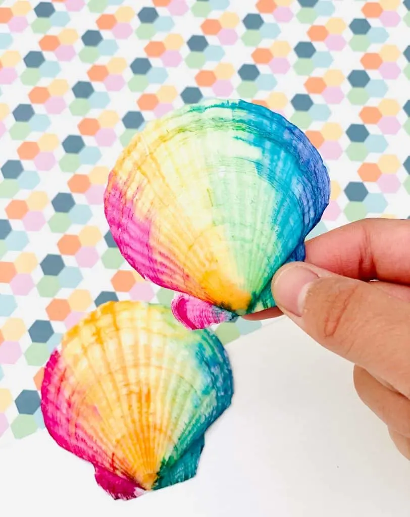 rainbow watercolor painted seashells