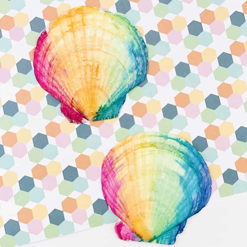 RAINBOW WATERCOLOR PAINTED SEASHELLS