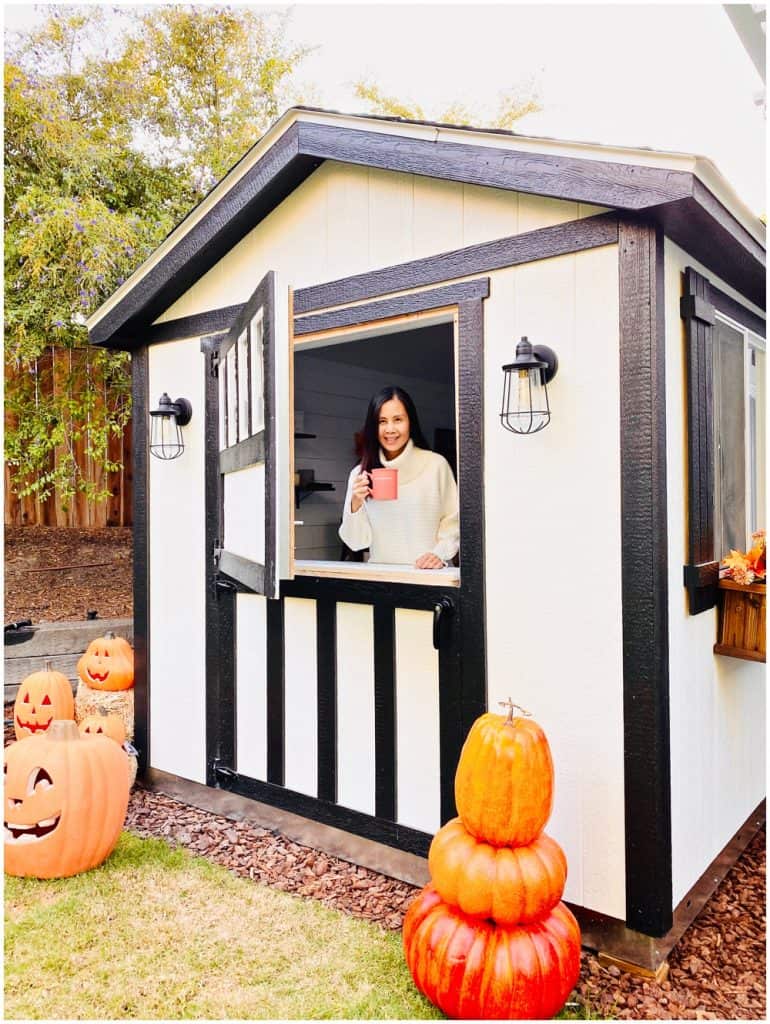 coffee bar she shed