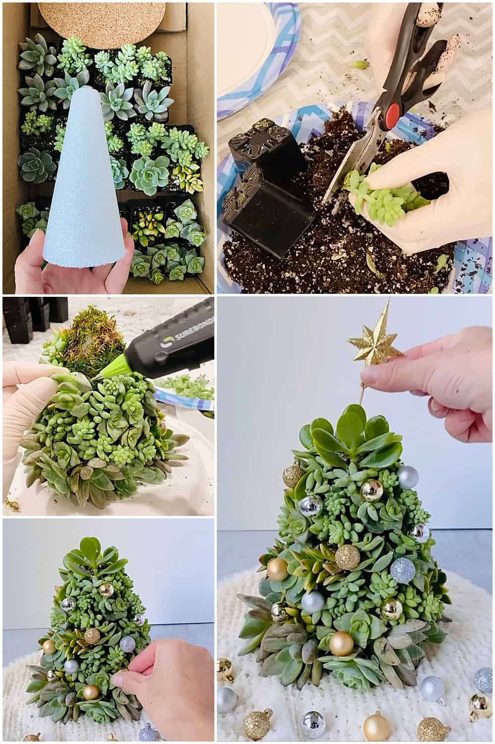 succulent diy christmas tree