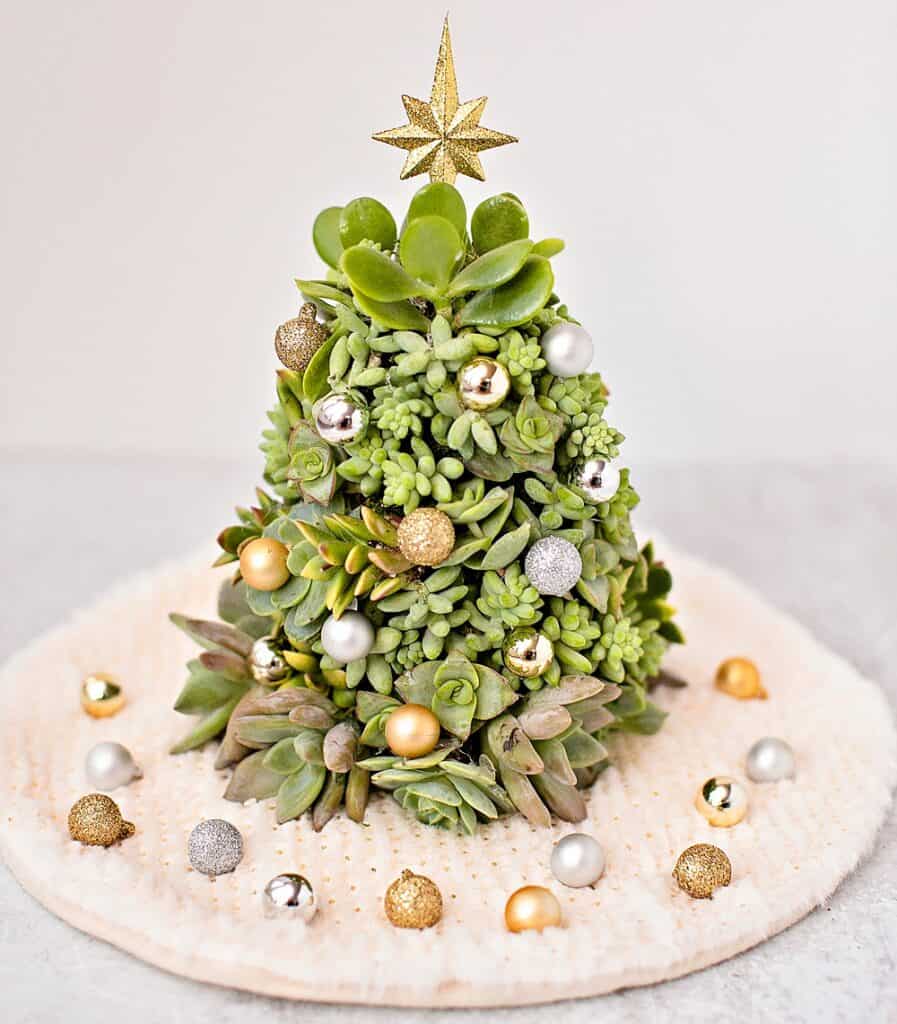 DIY Succulent Christmas Tree