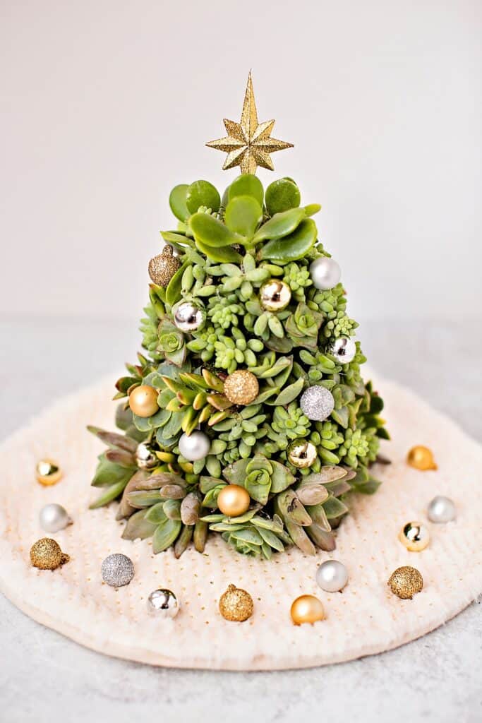 DIY Succulent Christmas Tree