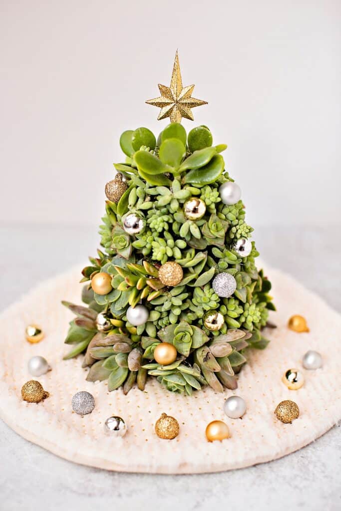 DIY Succulent Christmas Tree