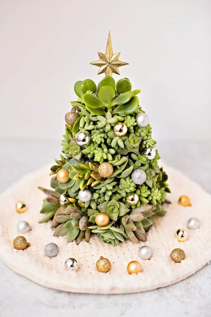 DIY Succulent Christmas Tree