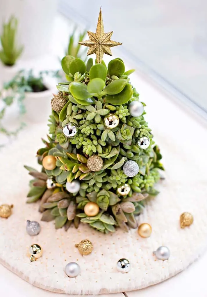 DIY Succulent Christmas Tree