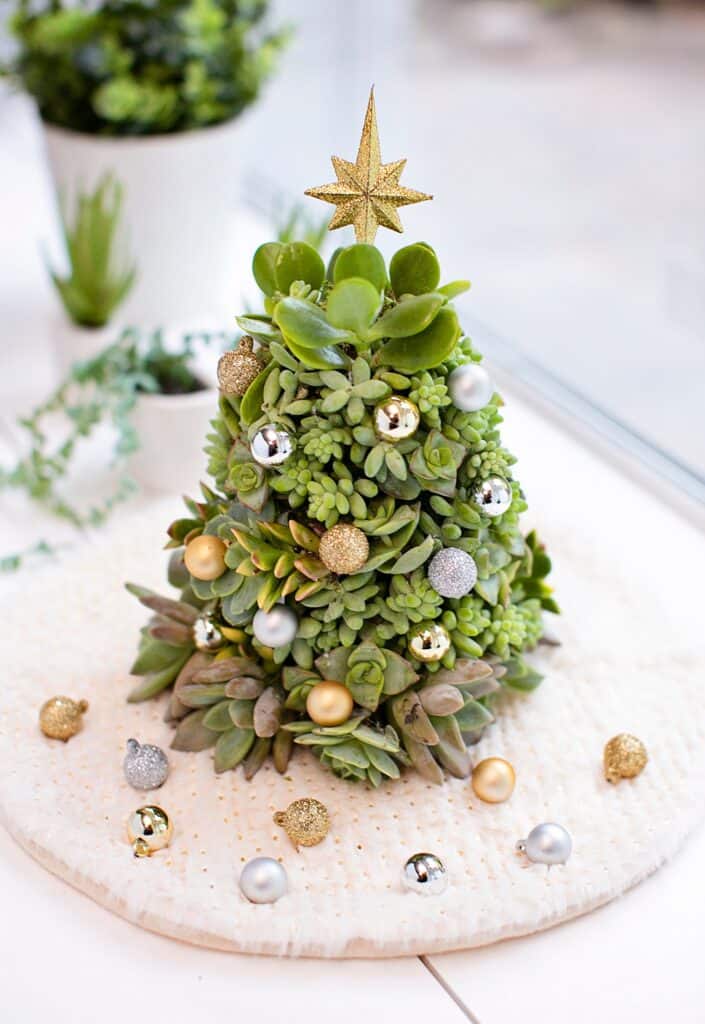 DIY Succulent Christmas Tree