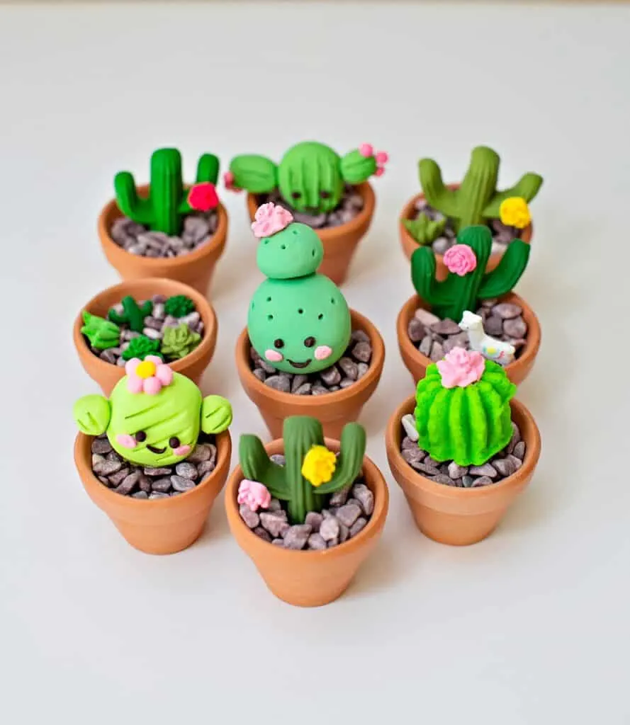 clay cactus succulent craft