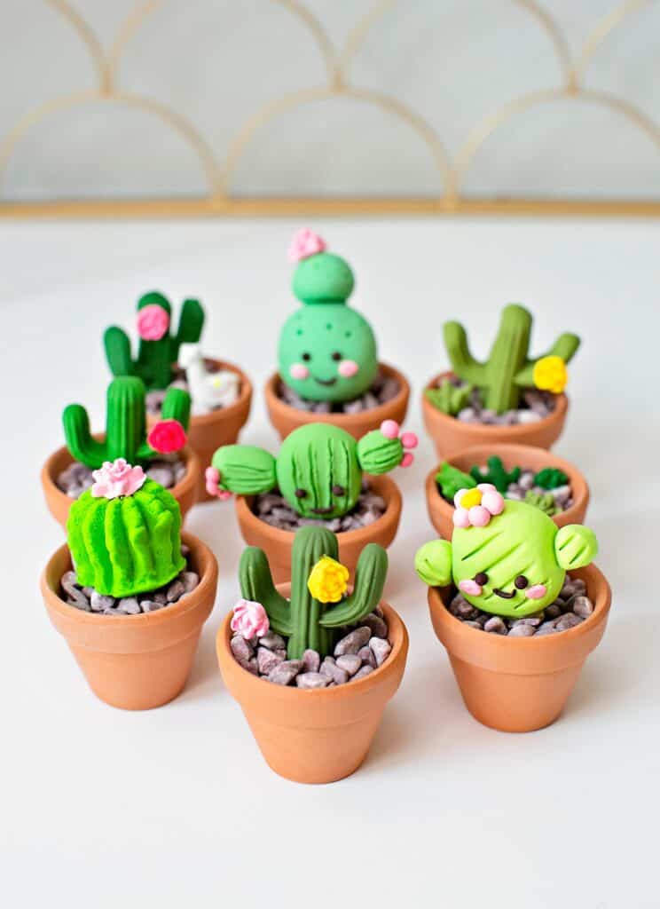 cactus clay craft 