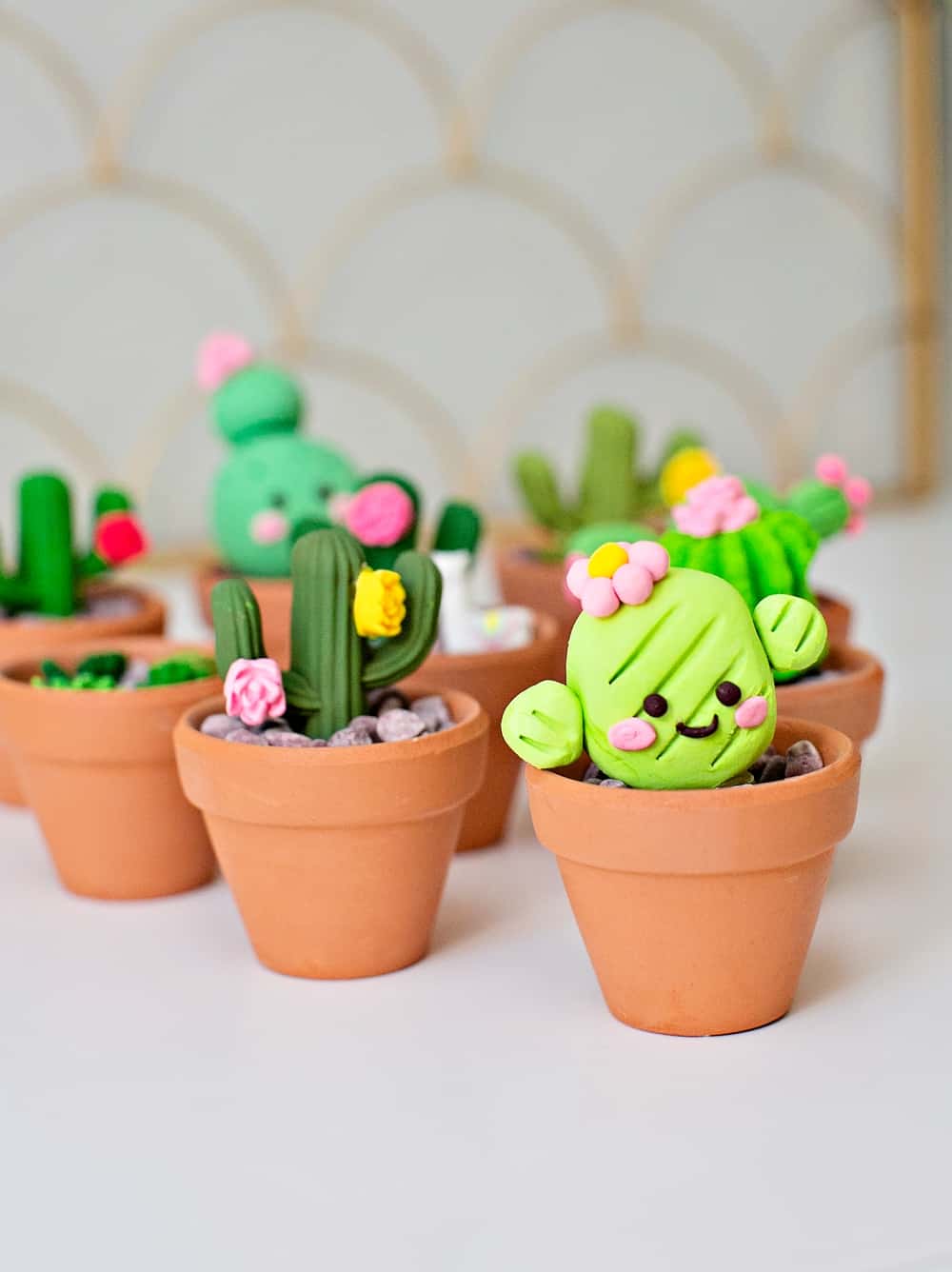 clay cactus succulent craft