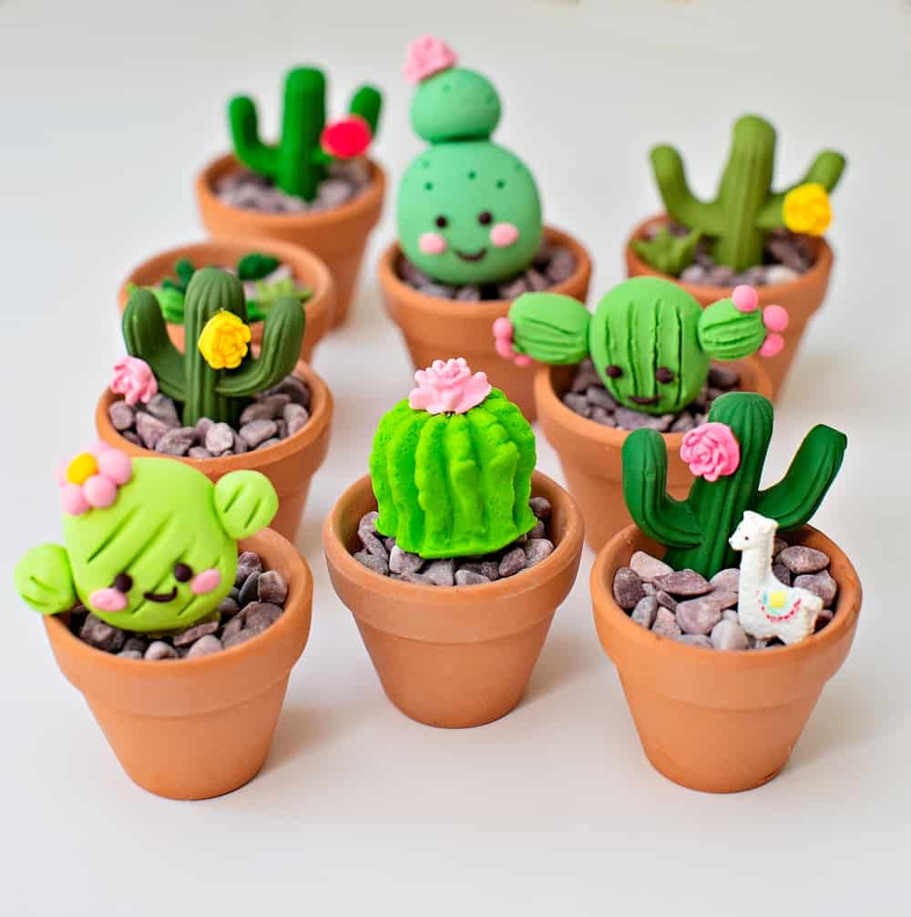 DIY CLAY CACTUS CRAFT