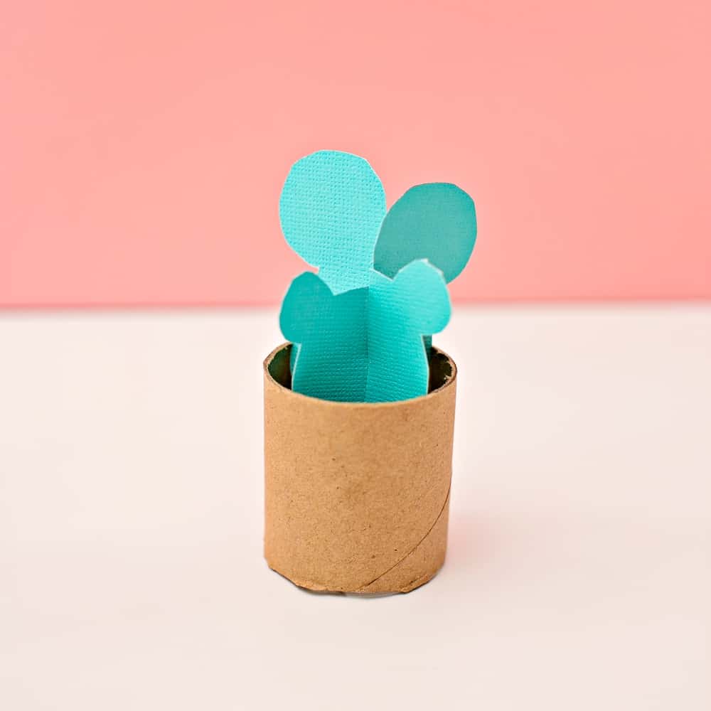cactus craft for kids 