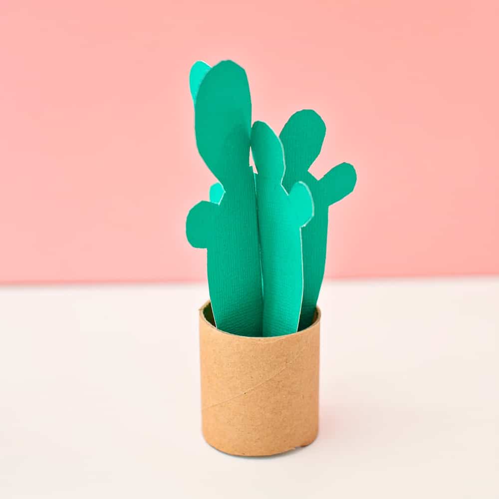 PAPER TUBE CACTUS CRAFT