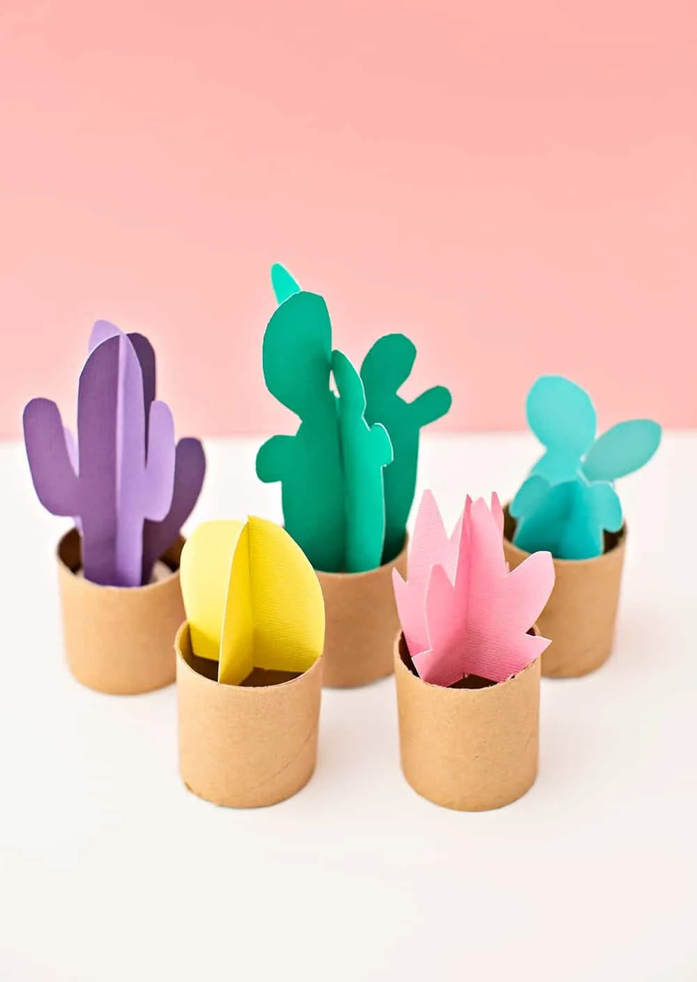 PAPER TUBE CACTUS CRAFT