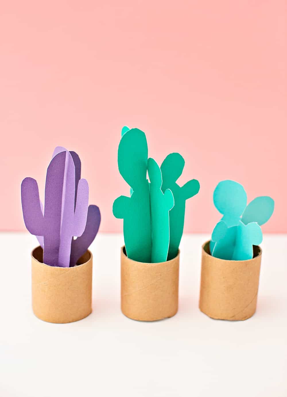 PAPER TUBE CACTUS CRAFT