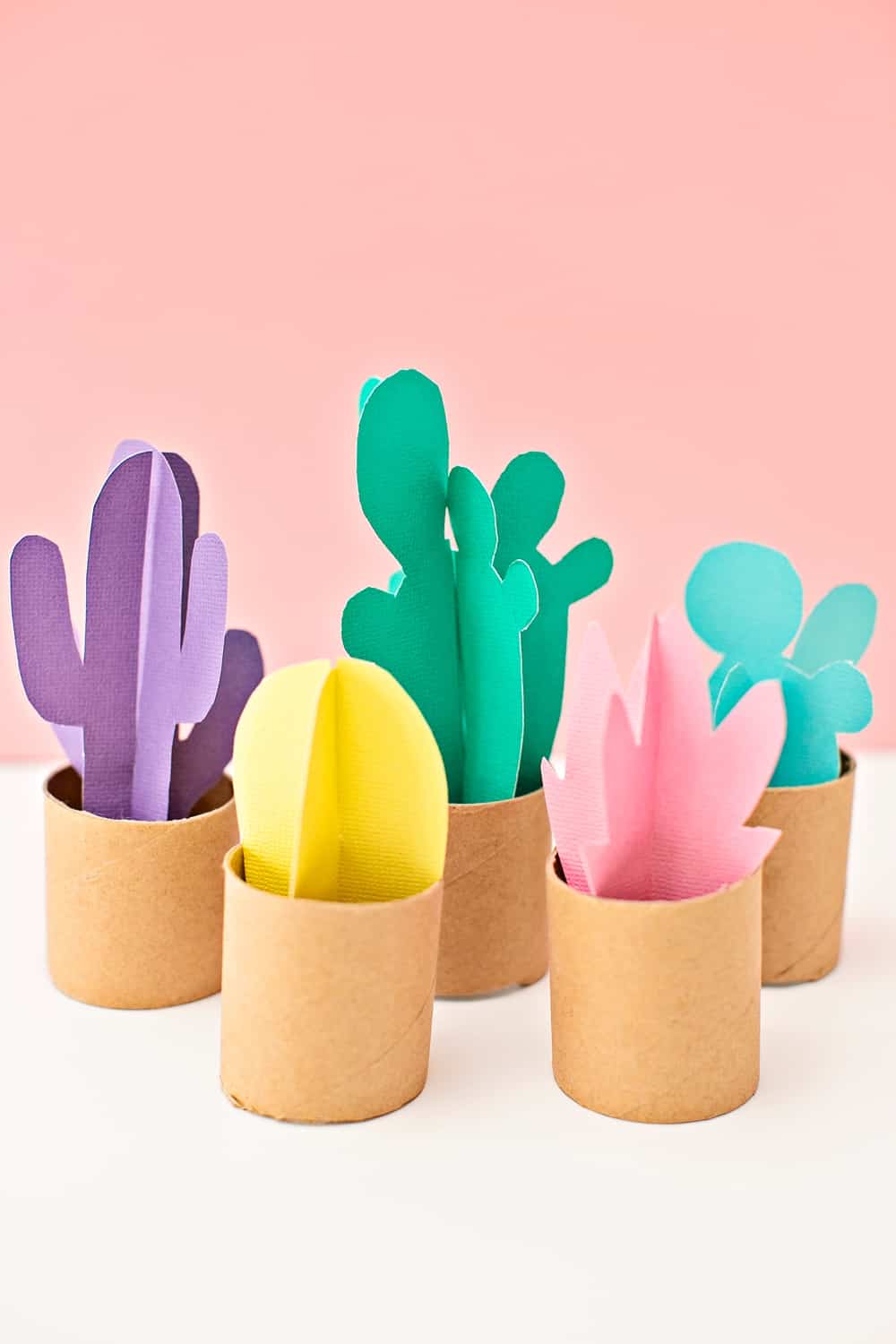 PAPER TUBE CACTUS CRAFT