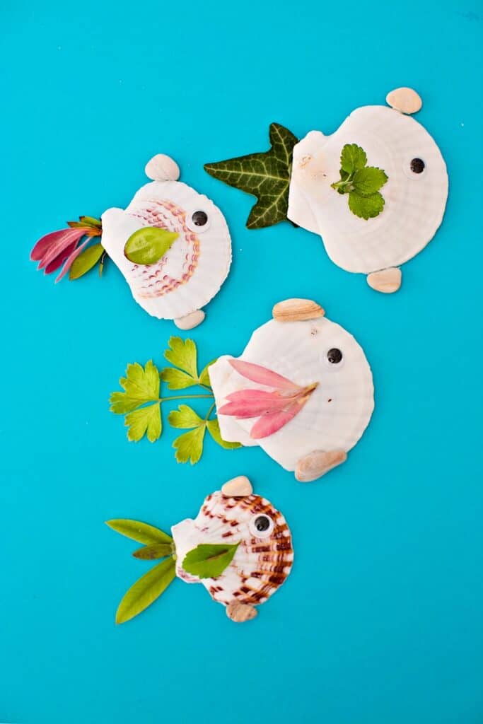 seashell summer fish craft