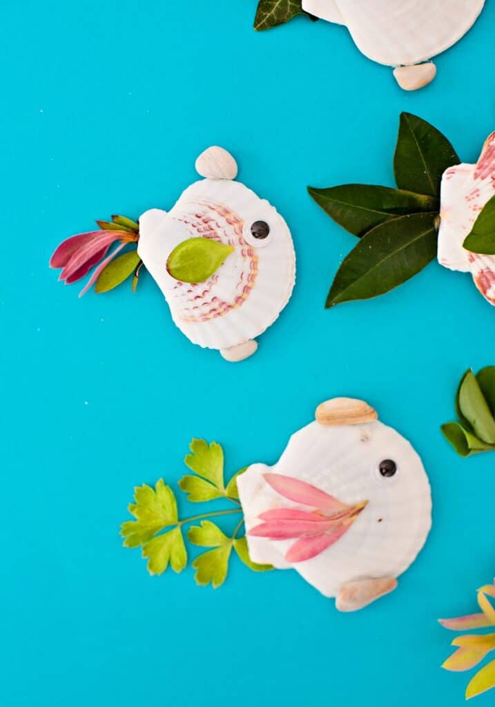 NATURE SEASHELL FISH CRAFT