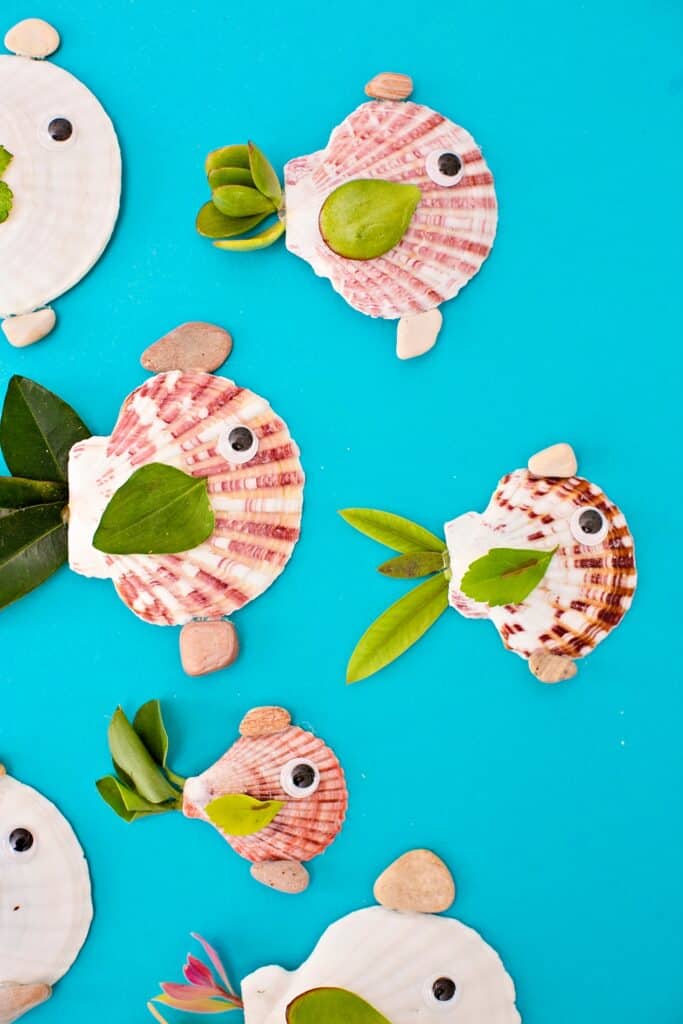 seashell summer fish craft