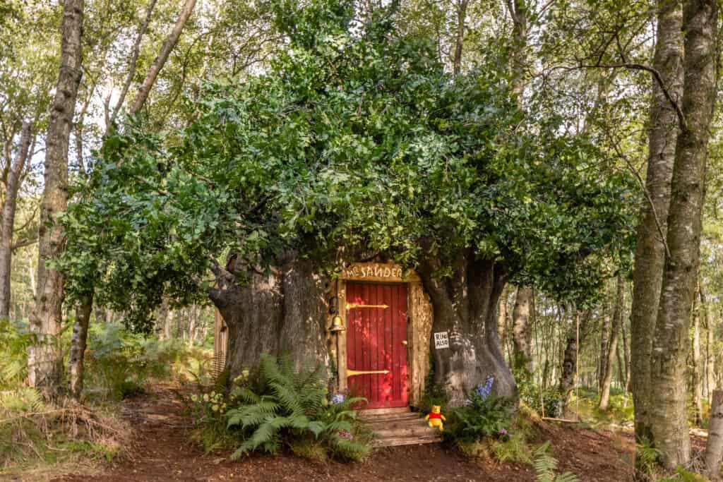 Winnie the Pooh Airbnb Treehouse