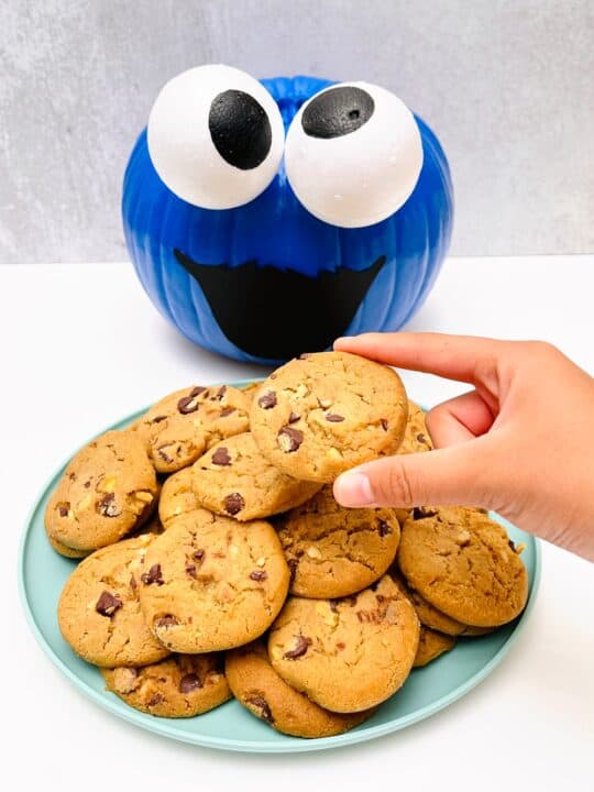 This DIY Cookie Monster Pumpkin Is The Cutest No Carve Pumpkin