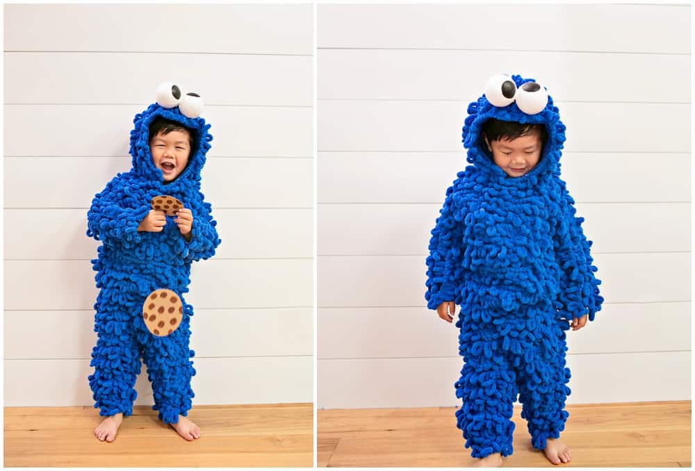 DIY Cookie Monster Costume