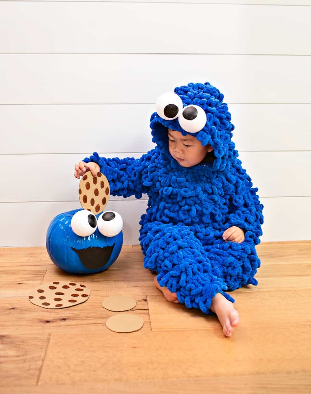 DIY Cookie Monster Costume