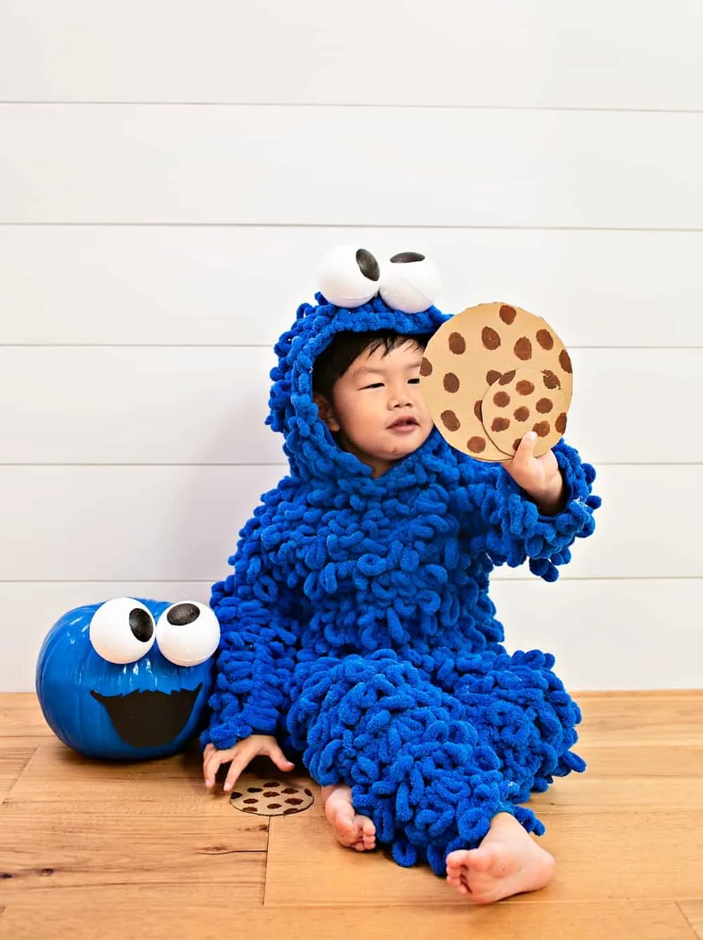 DIY Cookie Monster Costume