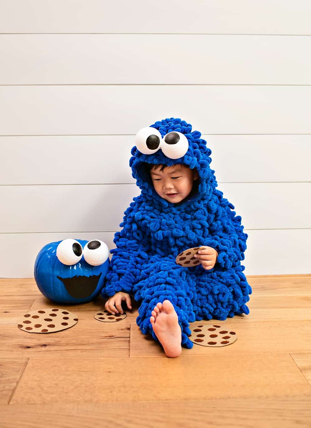 DIY Cookie Monster Costume