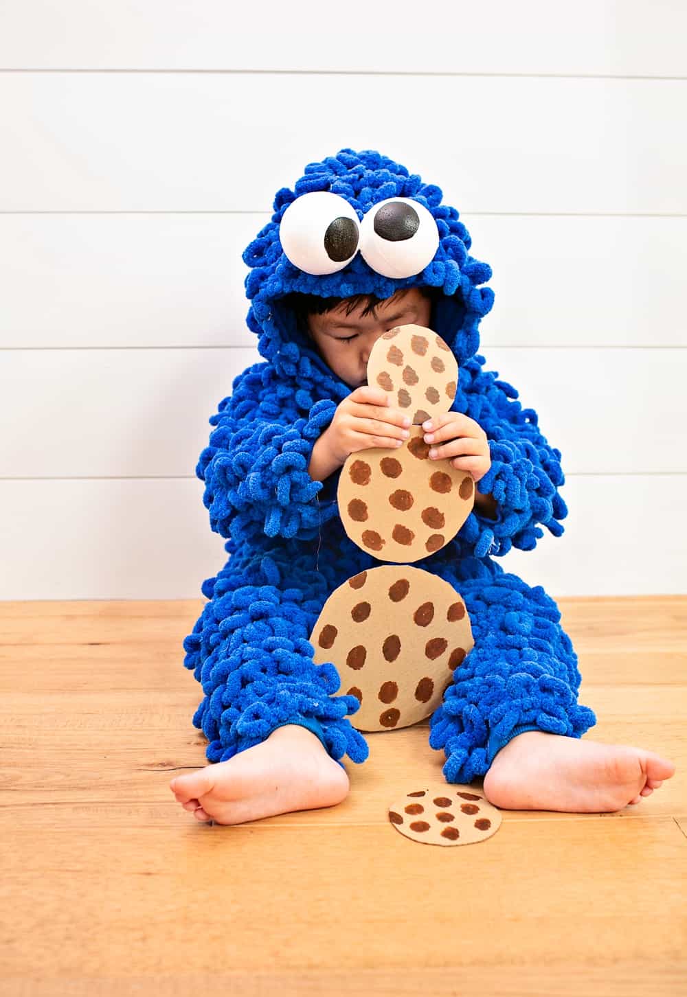 DIY Cookie Monster Costume