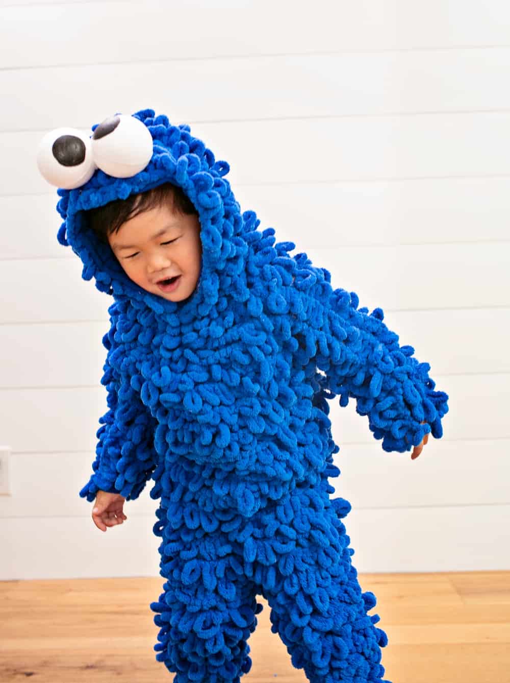 DIY Cookie Monster Costume