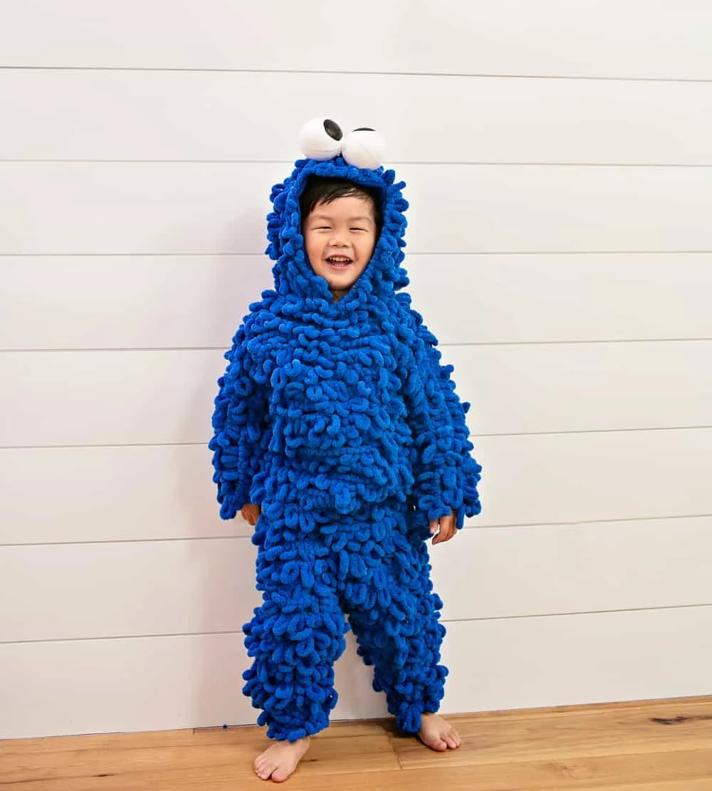 DIY Cookie Monster Costume