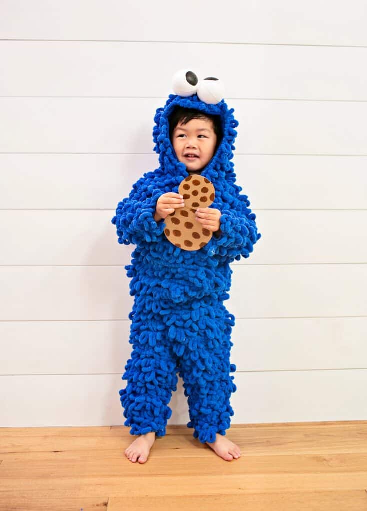 DIY Cookie Monster Costume Cookie Monster Halloween Costume