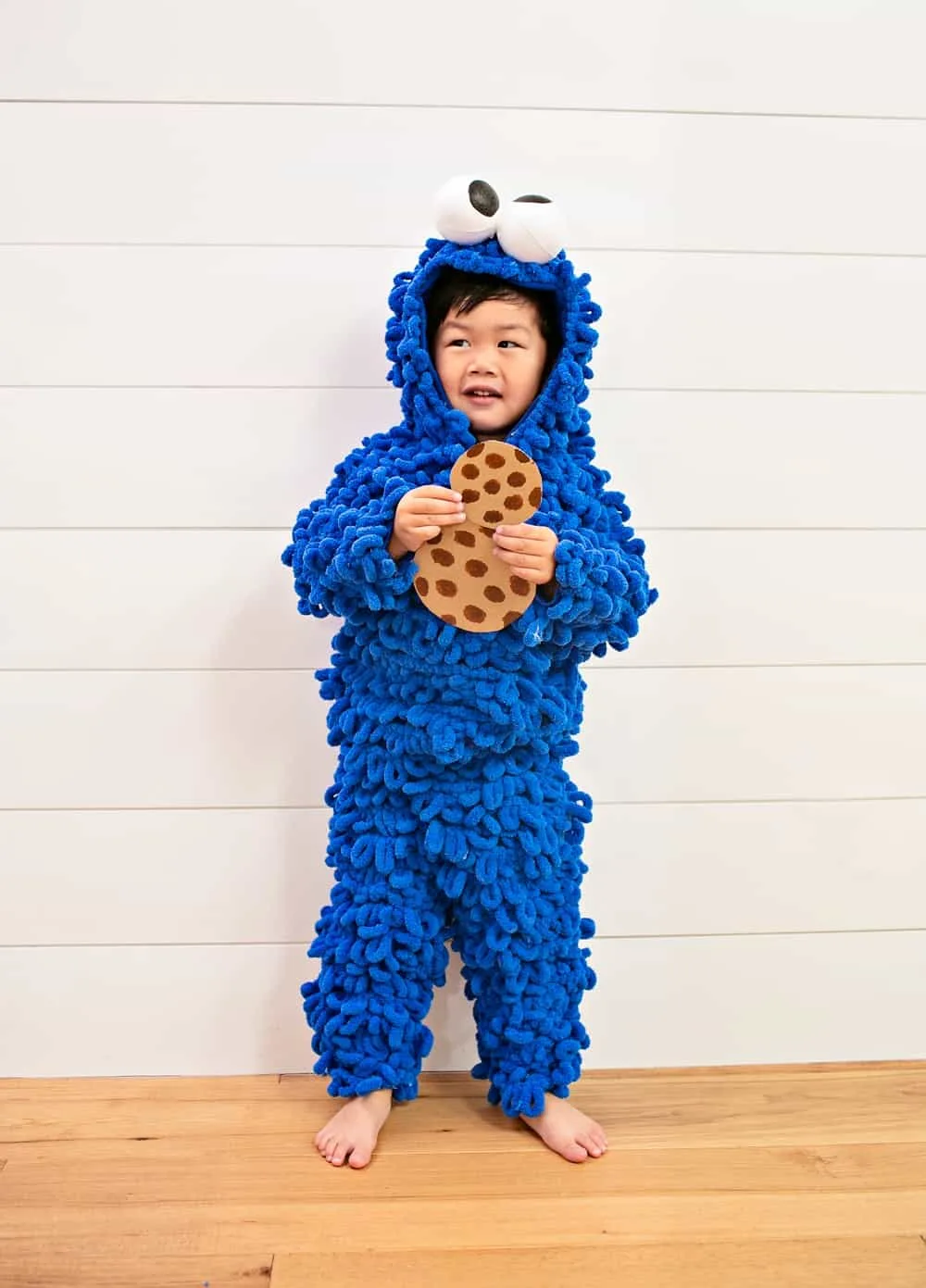 DIY Cookie Monster Costume