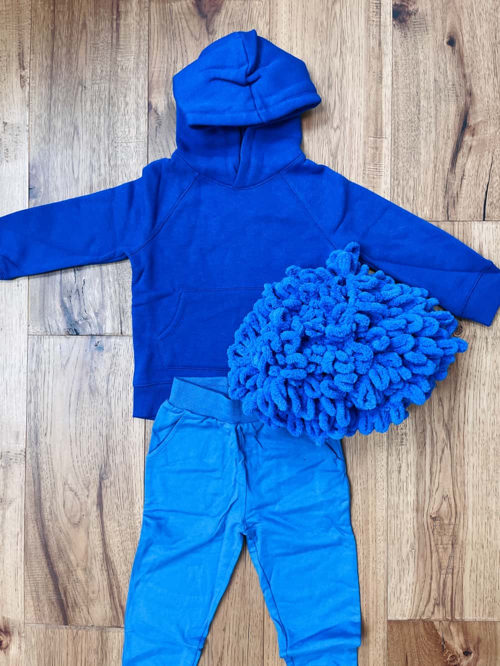 Halloween cookie monster costume