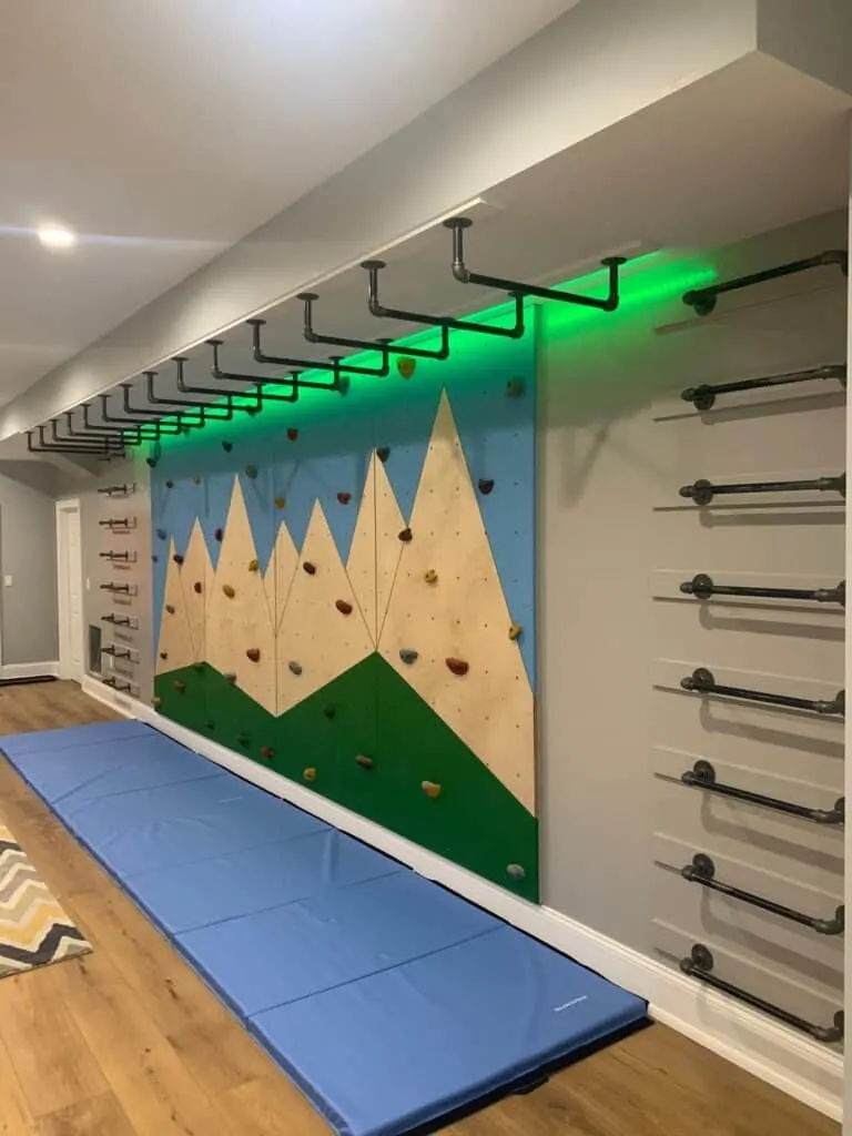 Schmidtfer Homes Indoor Monkey Bars