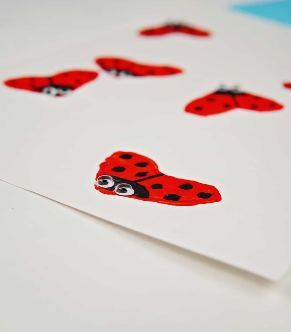 Ladybug Toilet Paper Roll Craft
