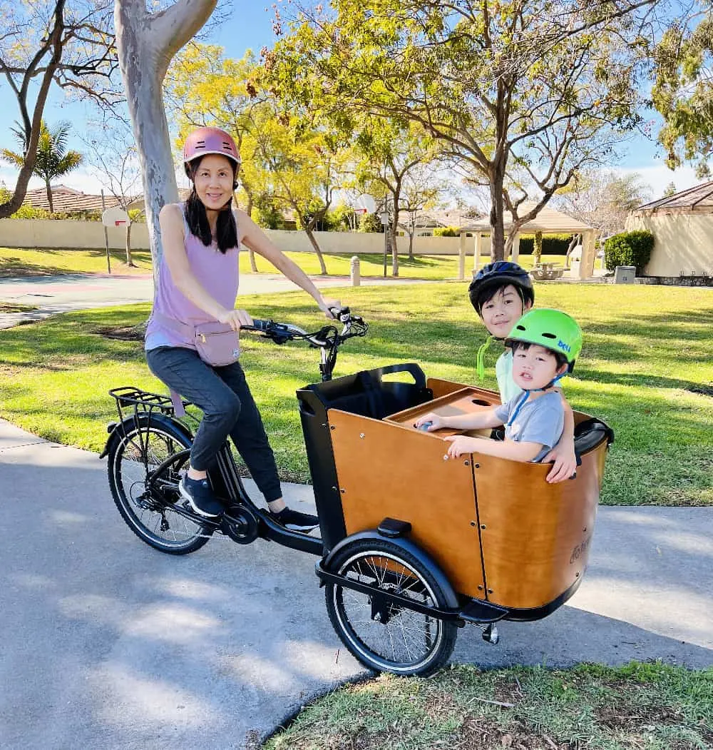 Family cargo bike Ferla