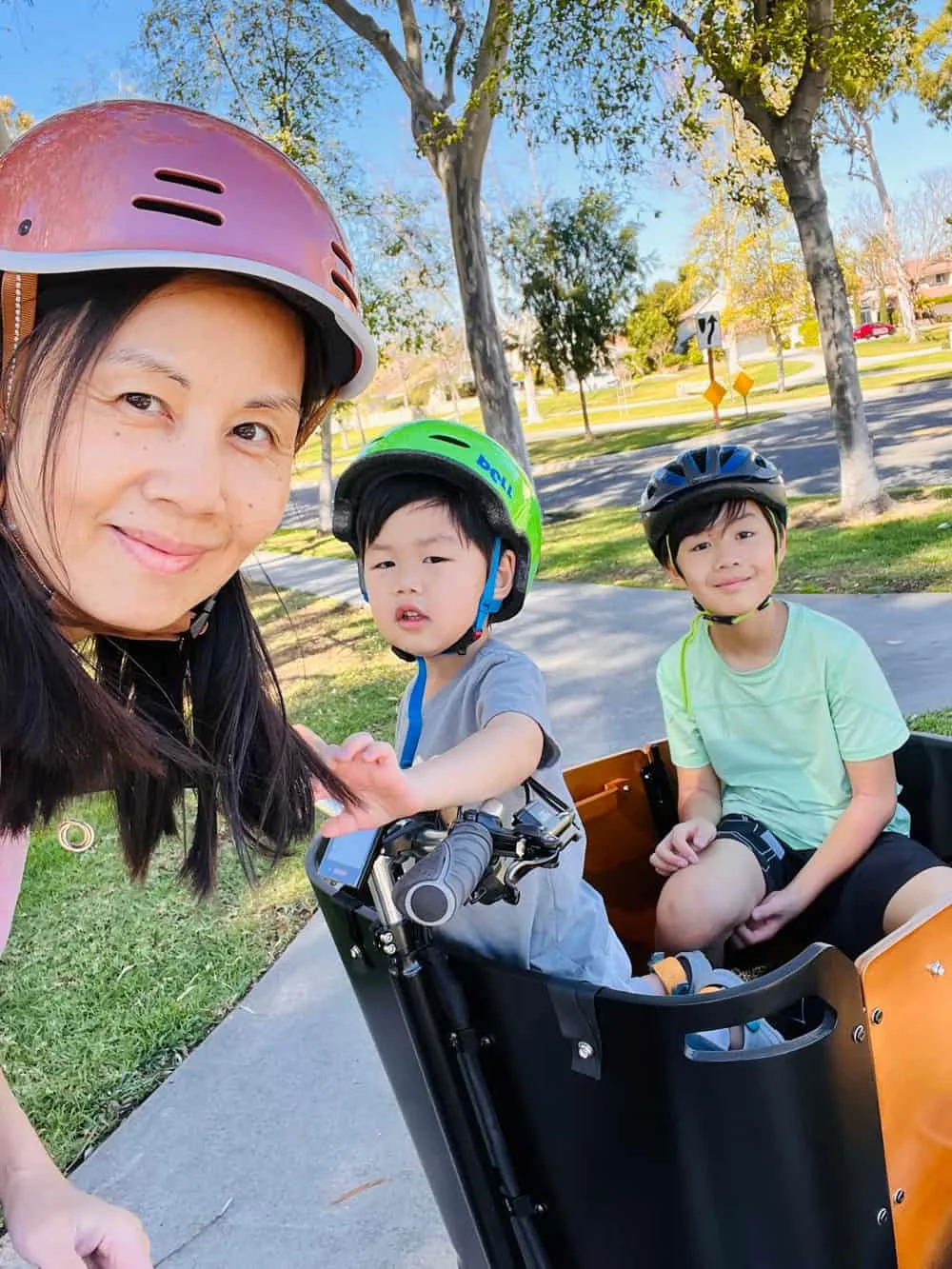 family cargo bike Ferla 